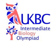 图片[1]-IBO英国中级生物竞赛-捷竞国际教育